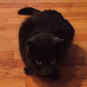 Meet your Posher, Jordan